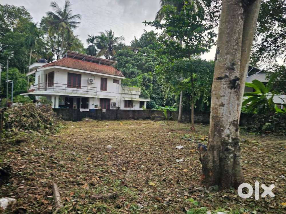 9.100 Cents of Land near EMC, Palarivattom