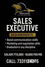 SALES EXECUTIVE FOR TRAVEL AGENCY
