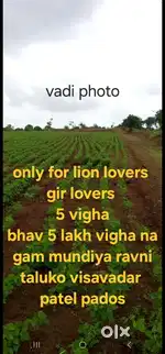 Agricultural Land for sale
વાડી વેચવાની છે જંગલ લોકેશન