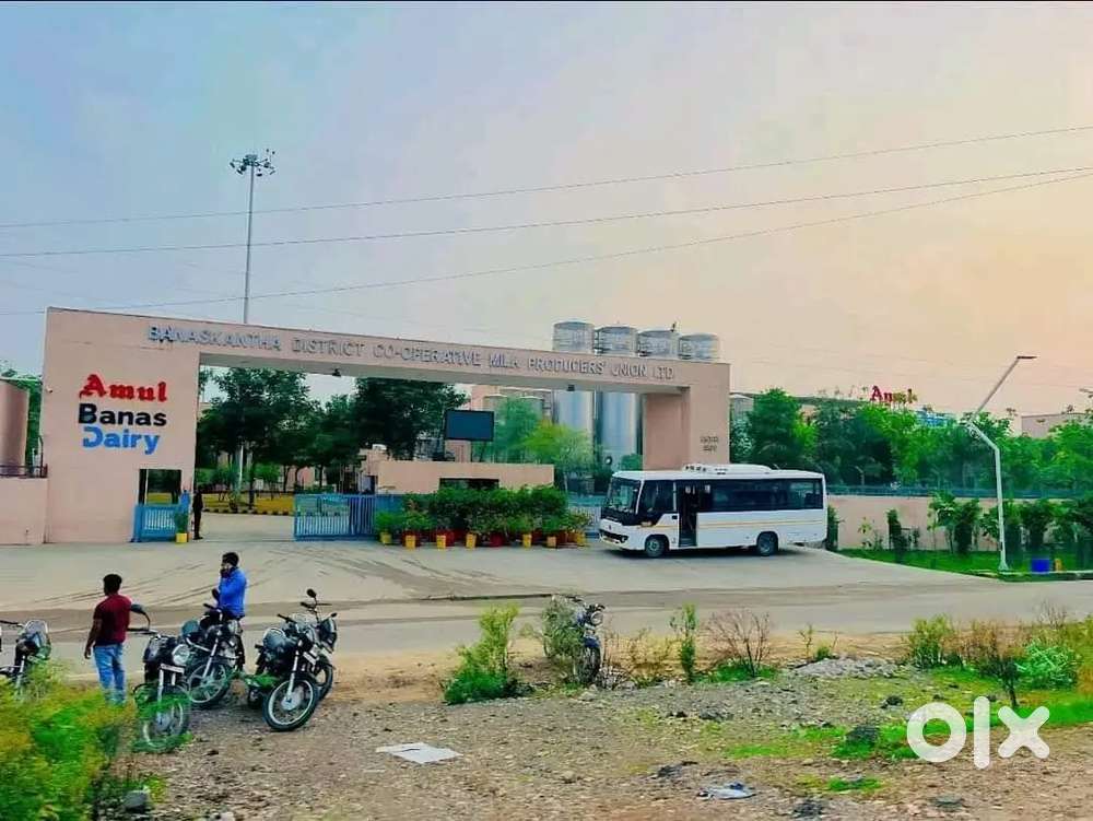 गोसाईगंज मार्केट के बेस्ट लोकेशन में प्लाट जिला पंचायत से अप्रूव्ड