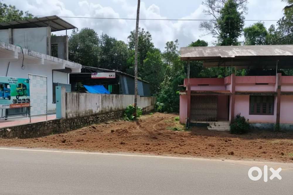 28-Cent Roadside plot in Mavelikkara