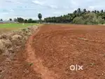 Land / Agricultural land