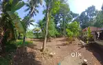 102 cents lake facing property for sale in Koivila, Kollam