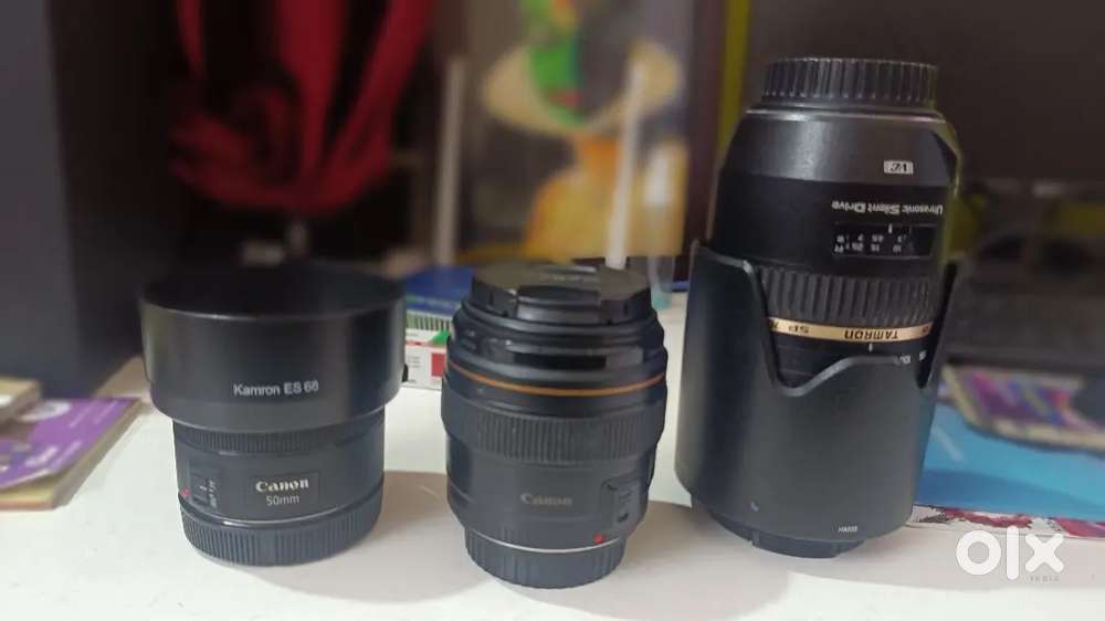 Canon 50 mm, Canon 85mm, Tamron 70-300 mm