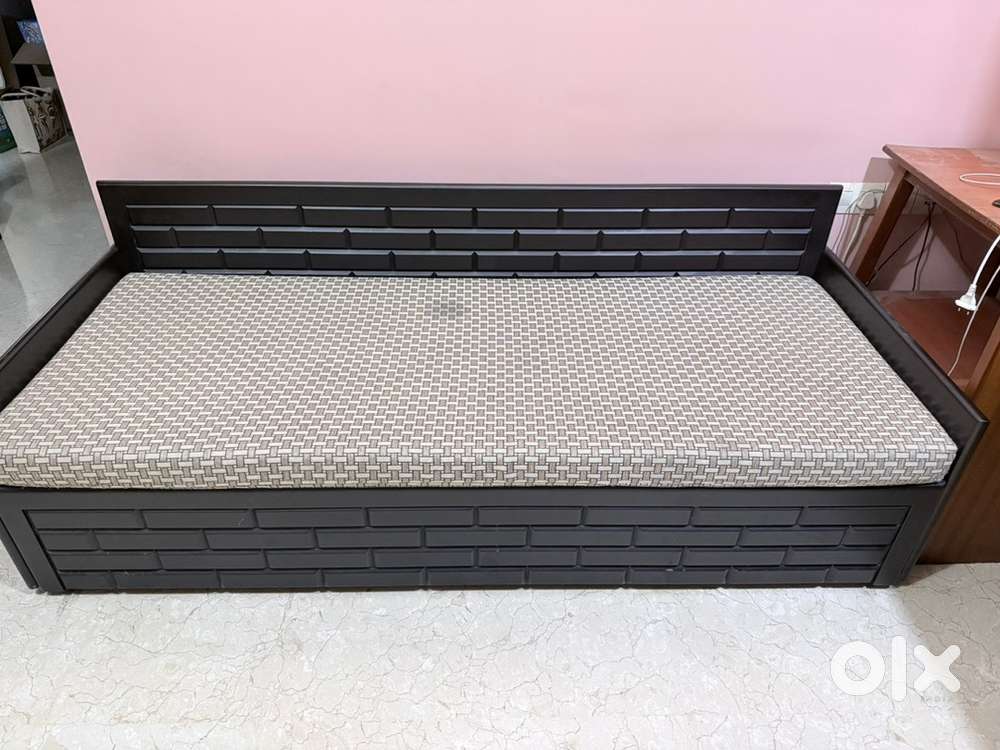 Pepperfry  sofa cum bed + 4 pillows  + 2 cushions for sale