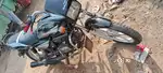 Gadi dayapar game jova malse