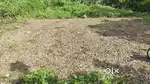 പള്ളിക്കത്തോട്ടിൽ 8 Cent സ്ഥലം