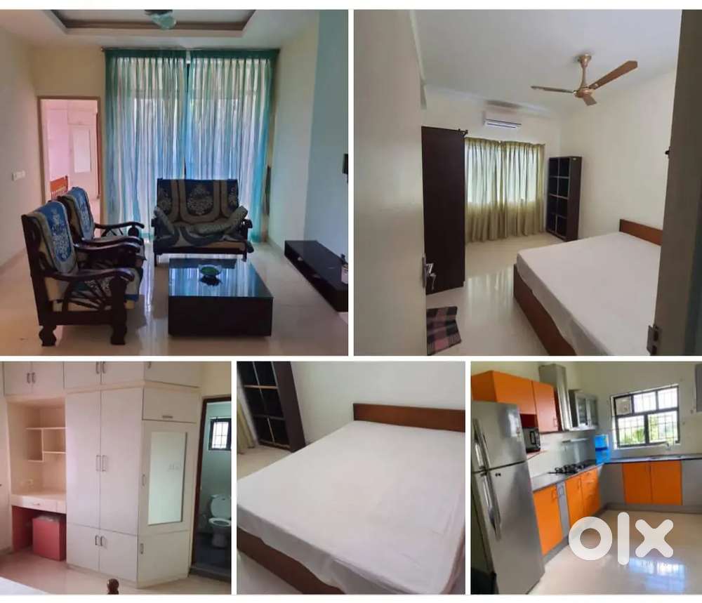 Fully furnished flat 2 BHK kakkanad near BMC