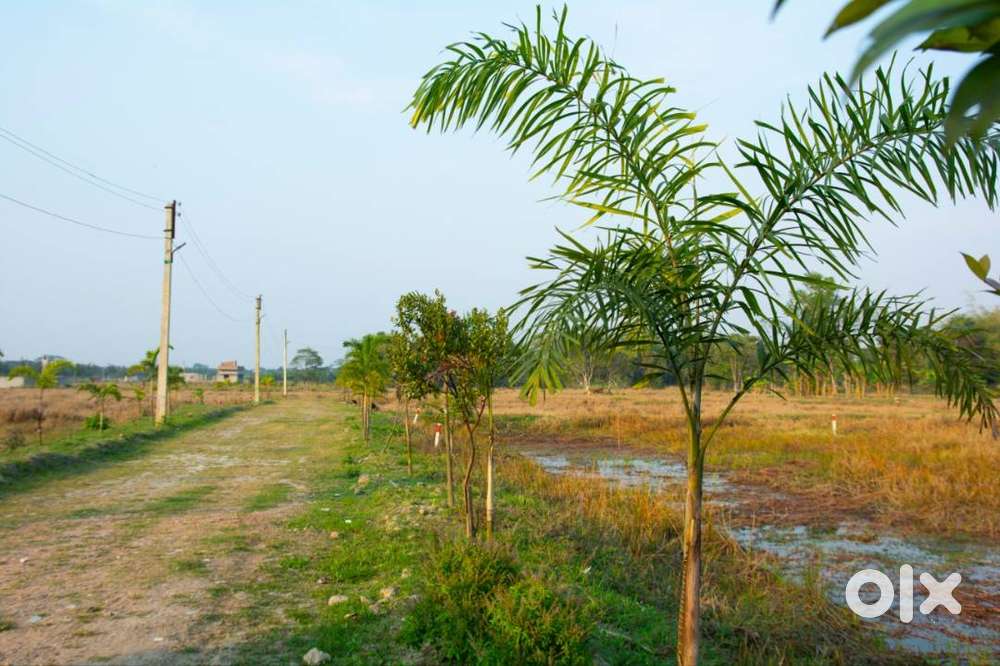 READY TO MOVE LAND FOR SALE NEAR JOKA METRO STATION