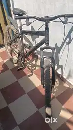 4 month old modified bicycle