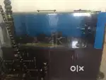 6 feet Glass aquarium of 2.5 feer height and width. Clear glass for sa