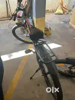 Cycle fir sale