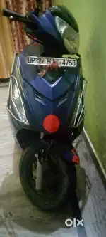 Maestro 2014