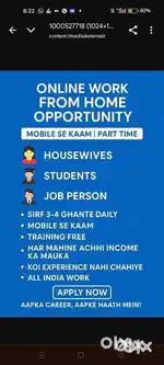 Work from home part time for students job persons