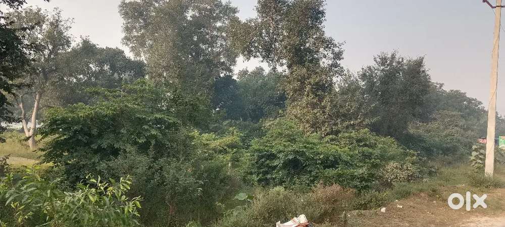 Kashi institute ke samane