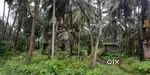 27 Cents Converted Land with open well for Sale Bejadi Villae