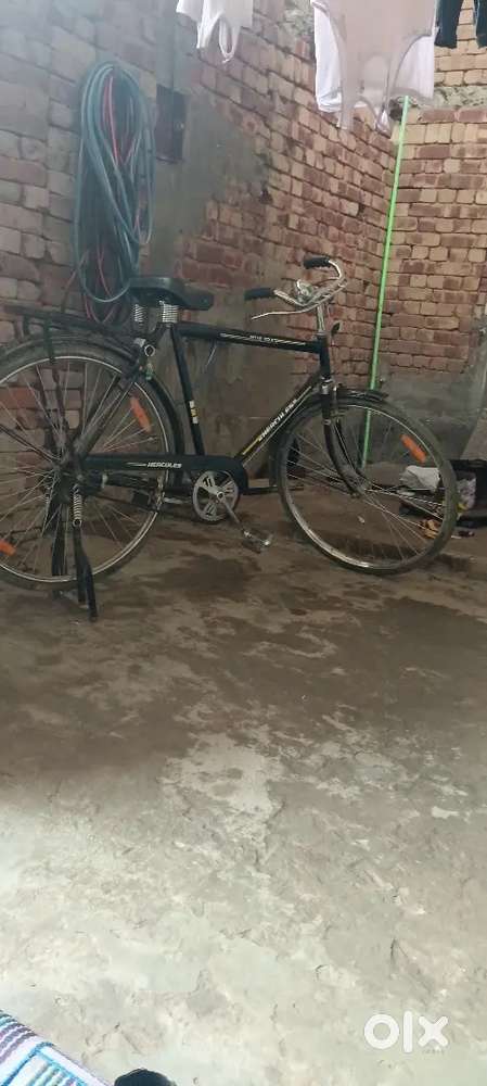 My new cycles