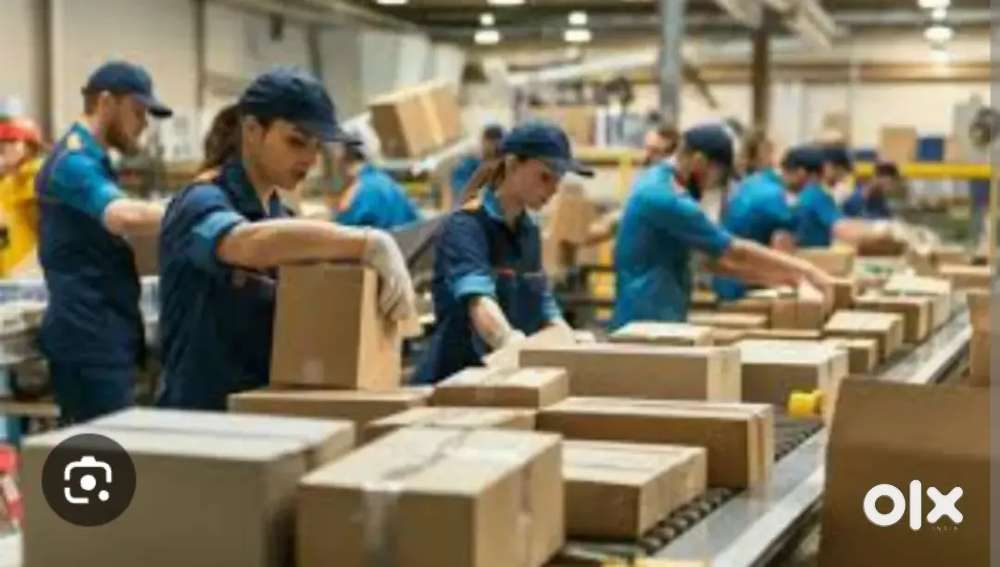 Grocery company packing scanning job