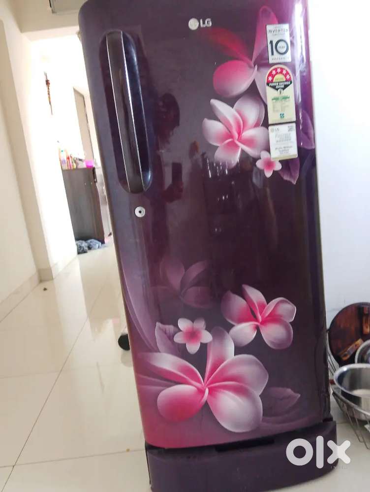 LG 195 litres Refrigerator 5 star energy rating