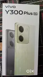 Vivo y 300 plys