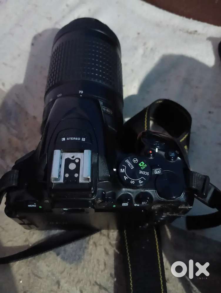 Nikon d5600 (DSLR)