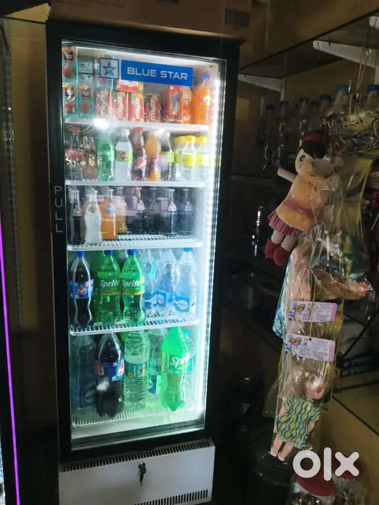 Blue star freezer for sale
