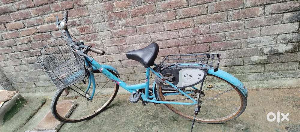 Best lady Bird cycle