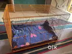 2x2 pet cage
