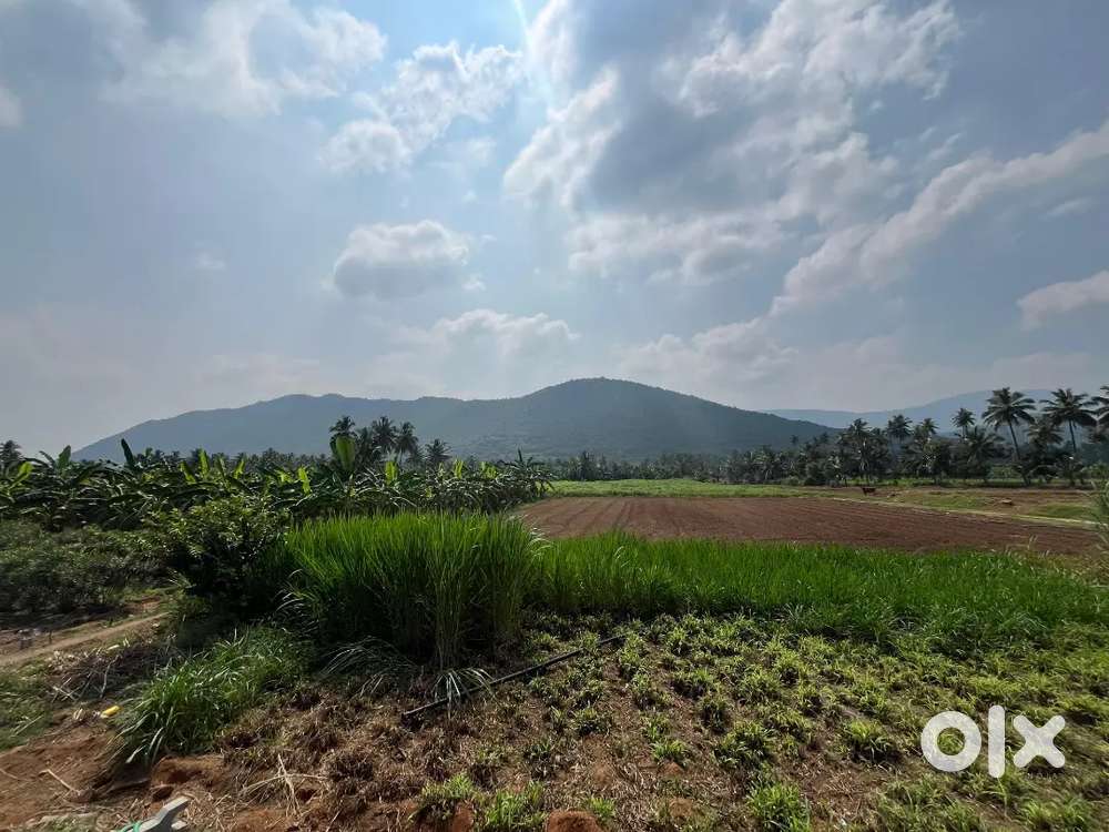 Need agri land with water facility 2-3 acers