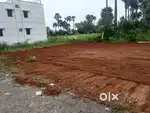 DTCP APPROVED