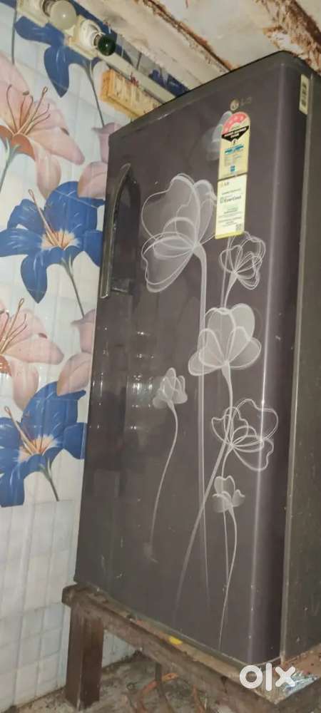 LG 190 L 5 Star Direct-Cool Single Door Refrigerator (GL-B205XGHZ )