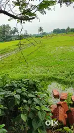 Plot land selling