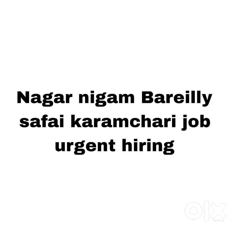 Job in Nagar Nigam Bareilly
