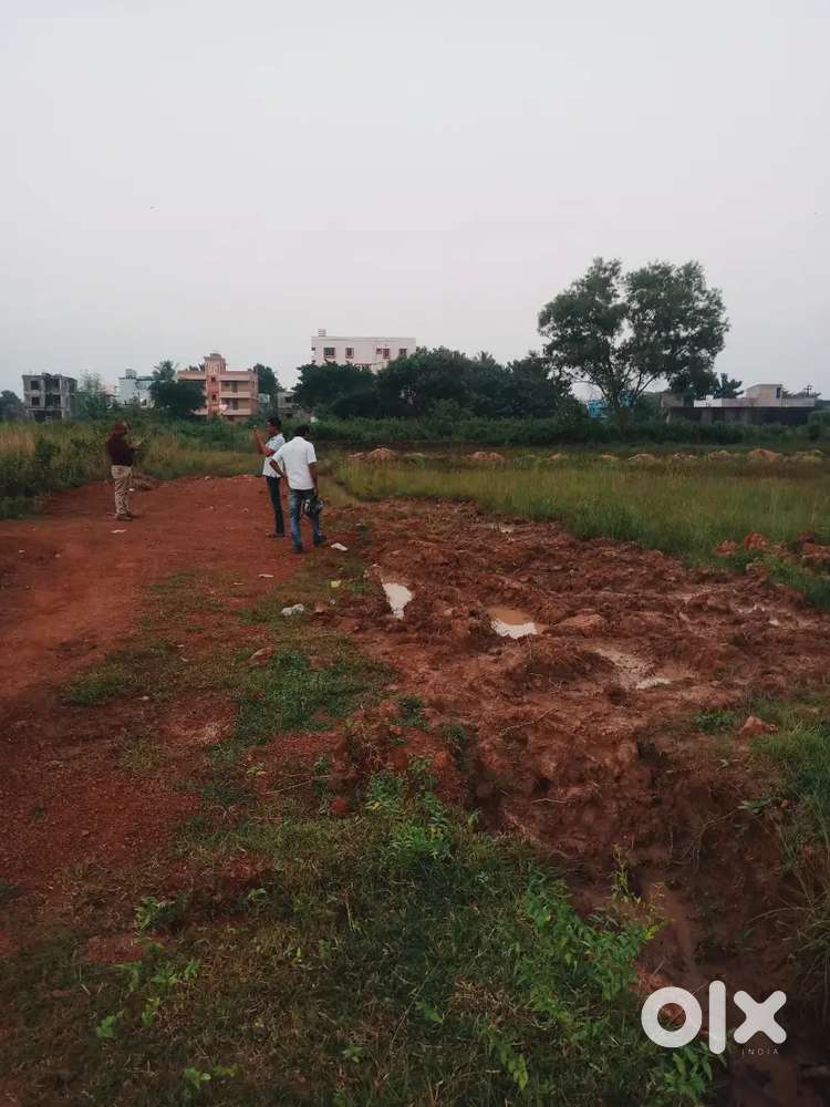 Sales and marketing, Both Male and female