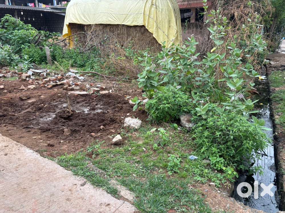 Site for sale