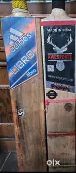 kashmir willow bat 1500 per bat