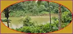 40 cents River view property for sale in near Chathamangalam