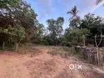 Land in siolim