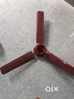 Oriental Ceiling Fan
