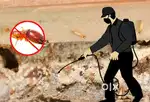 Pest control technician need weekly 1 or 2 days work.