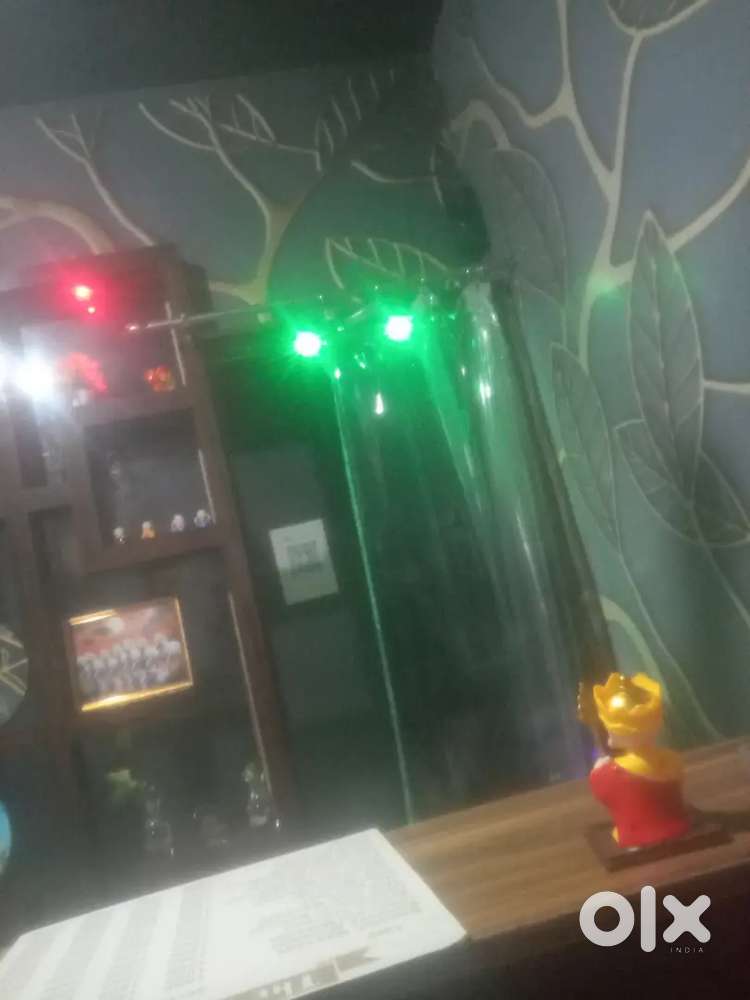 Management work need girls staff