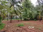 24 cents plot can be sold in parts