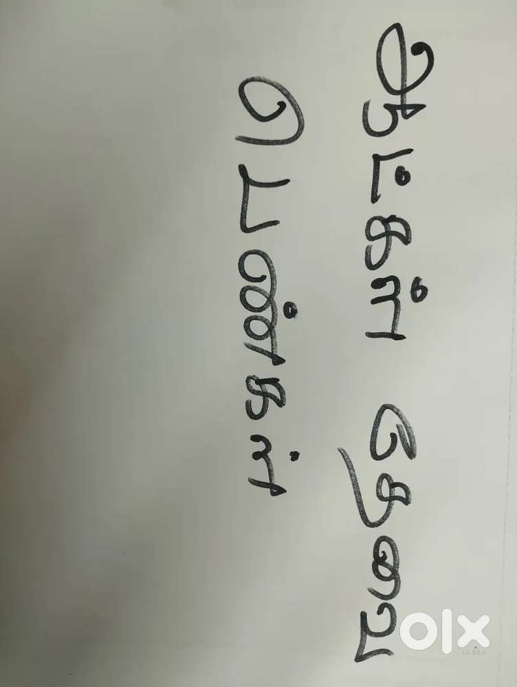 Paper and plastic segregation