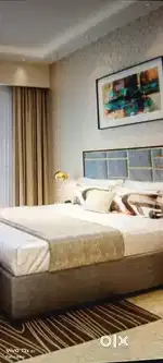 Need roommate