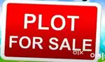 “Residential Plot 25x50 for Sale – Jagdamba Colony, Narsinghpur”