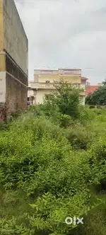 SELL MY PLOTS FOR urgent MONEY problem