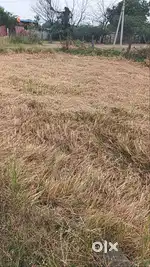 Agriculture land ready to sale spot registration