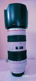 CANON EF AF 70-200 f2.8 USM Ultrasonic L SERIES TELE ZOOM FX F2.8 LENS