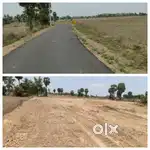 Farm land for sale
