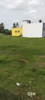 Patta land